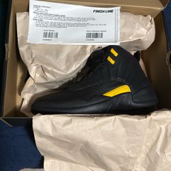 Air Jordan Retro 12 