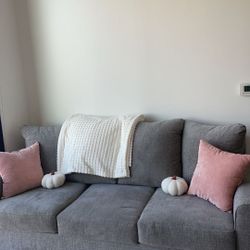 Grey Couch