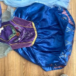 Frozen Costume And Dress