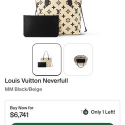 Louis Vuitton Neverfull Bag