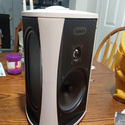 DiFinitive Technology AW6500 Outdoor Speaker