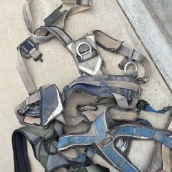 Salsa Harness 