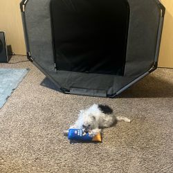 Play House For Dogs