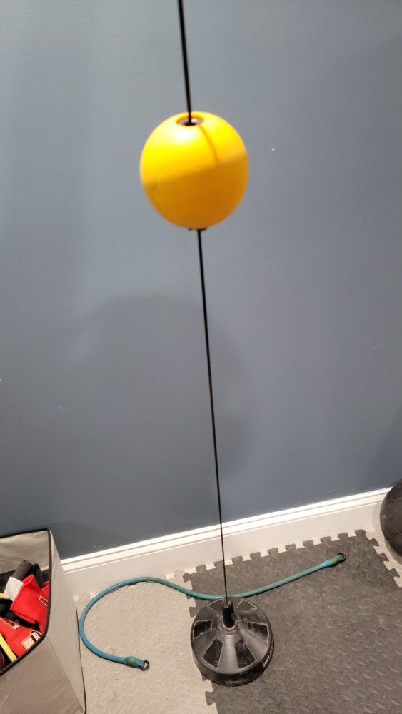 Reflex Boxing Ball