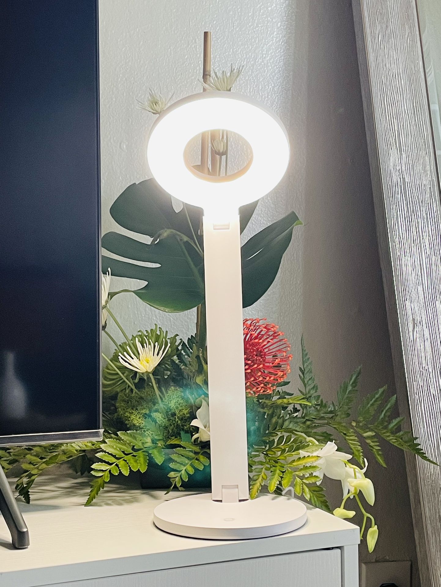 LED Touch Lamp 