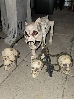 Skeleton Dog