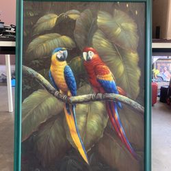 Canvas Paint 25x38