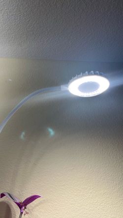 Five Indoor Plant - LED SANSI Grow Lights
