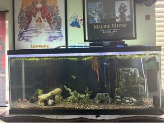 55 gallon fresh water tank