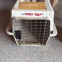 Mini Pet Taxi Small Dog Or Cat