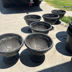 Planters ,Black , (6)