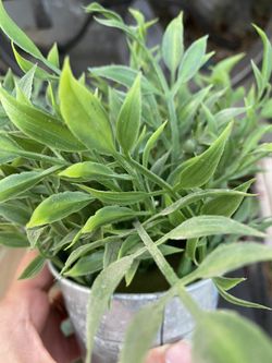Faux Plants In Pots