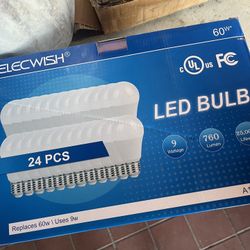 3 Pack Bulbs