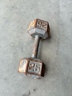 25lb Dumbbell
