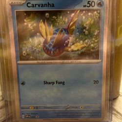 Carvanha SVP093 Black Star Promo Scarlet & Violet Holo Pokemon Card