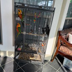 Bird Cage And More