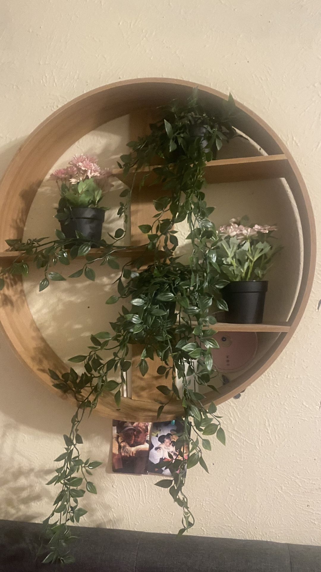 Wall Art / Fake Plants 