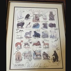Singed animal picture