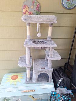40 inch cat tower / condo