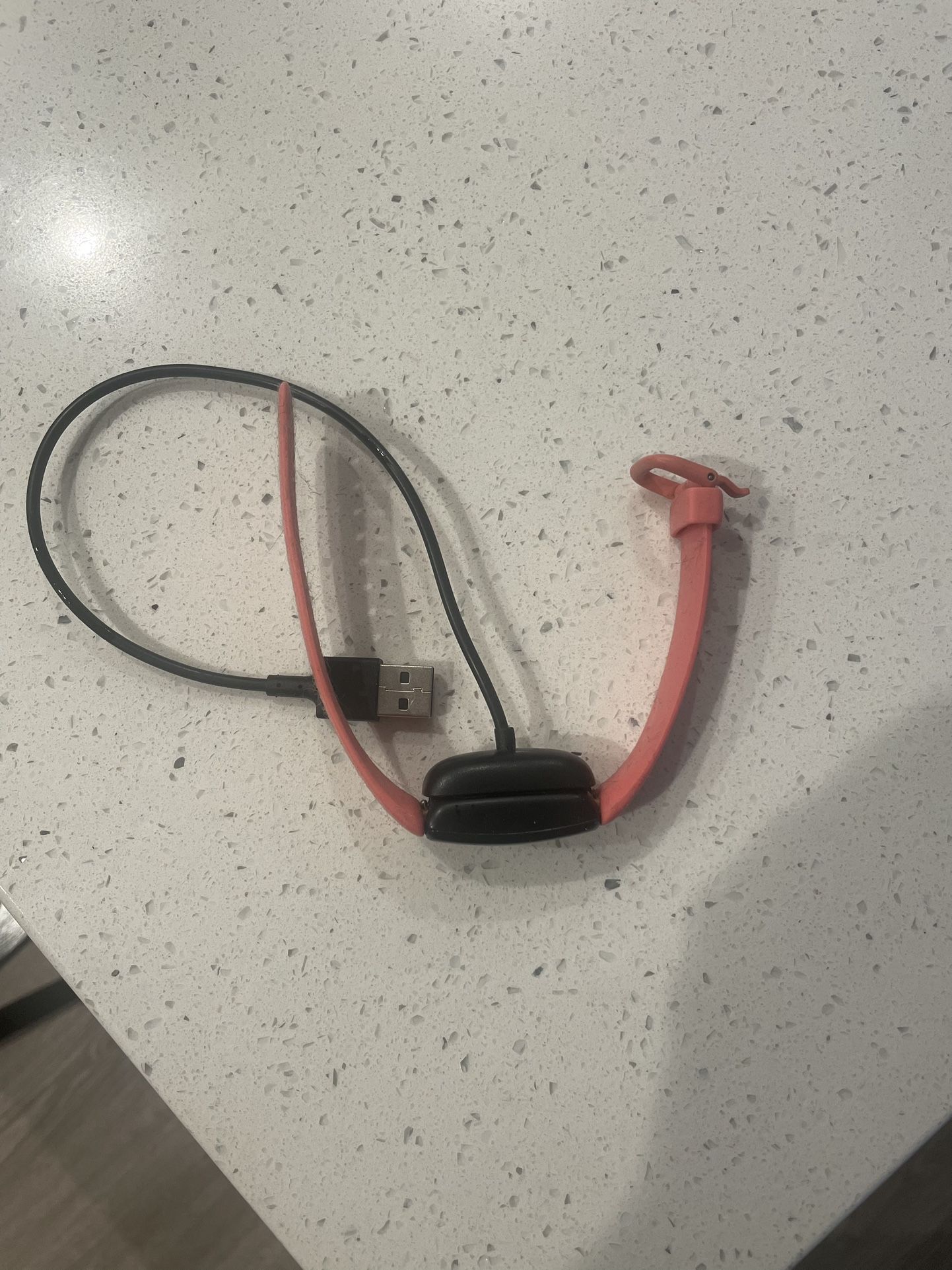 Fitbit Watch With Charger