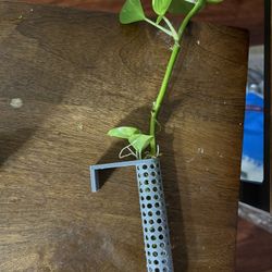 Aquarium Over Edge Planter