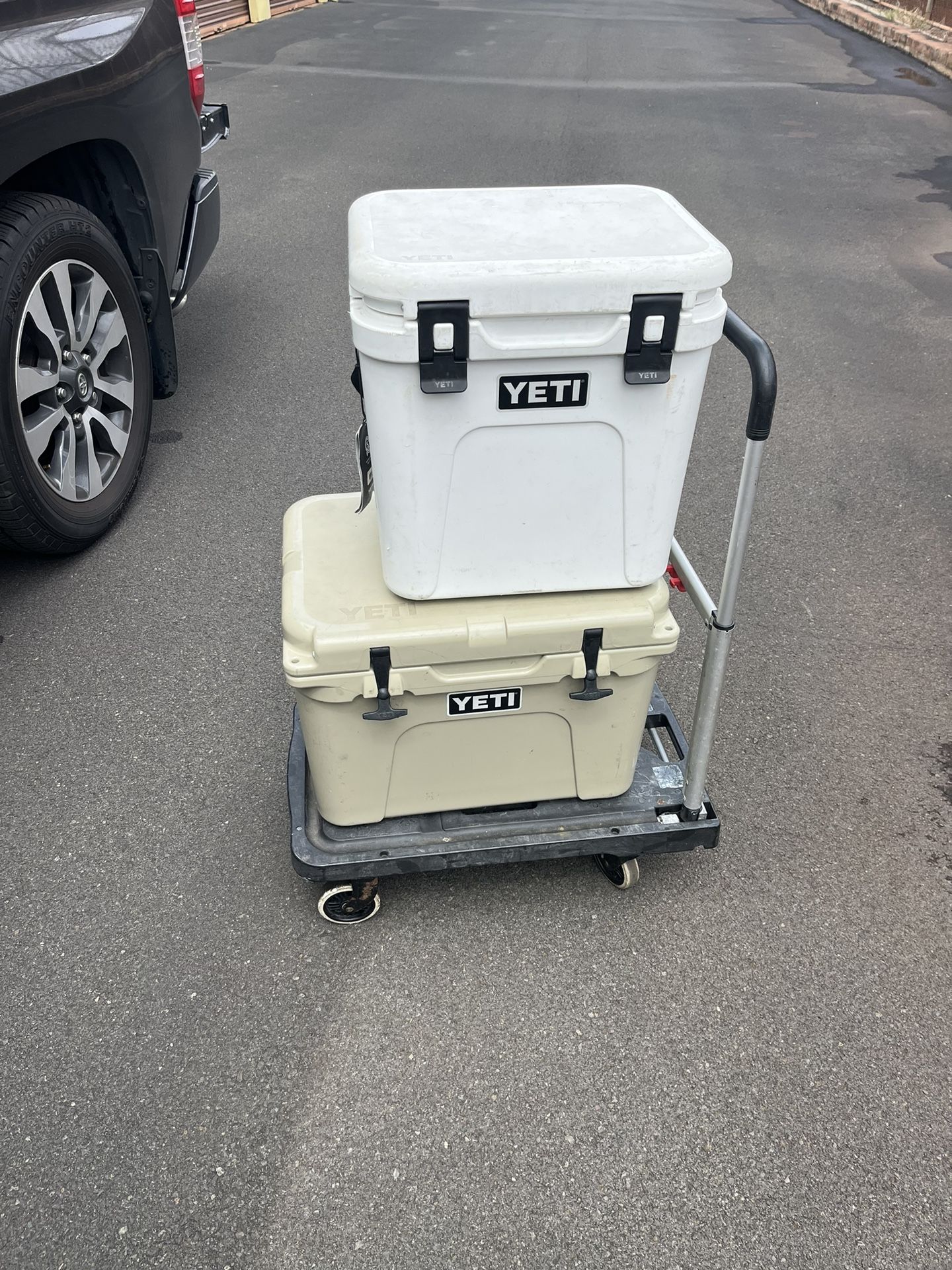 Yeti Cooler