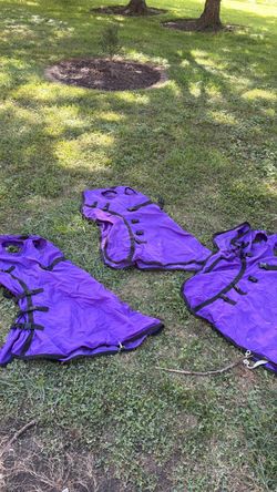 Purple horse hoods
