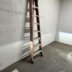 12 Foot Werner Ladder