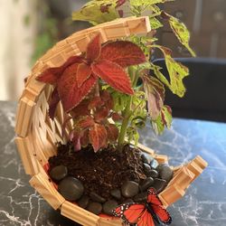 Tabletop Wooden Planter 