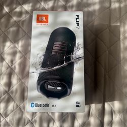 JBL Flip 7 Bluetooth Speaker
