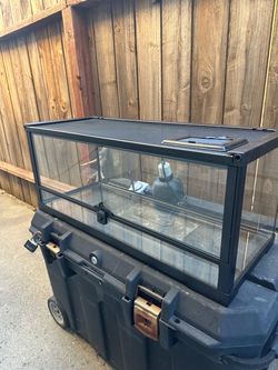 Reptile Terrarium