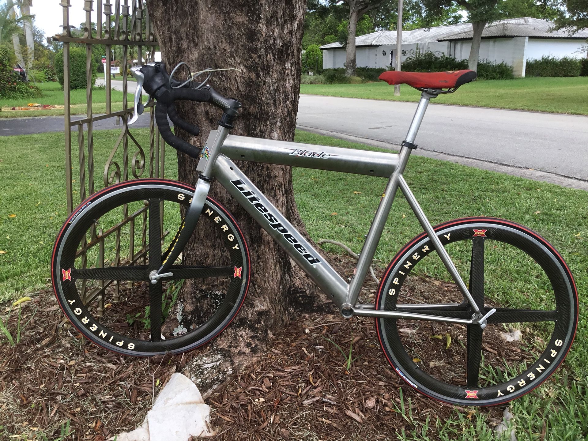 Litespeed blade for sale sale