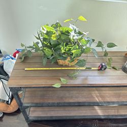 Artificial Pothos Plant in Wicker Basket - Home Decor