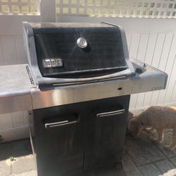 Weber Spirit BBQ Grill