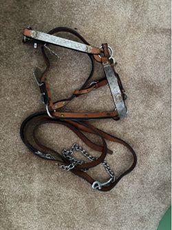 Show halter