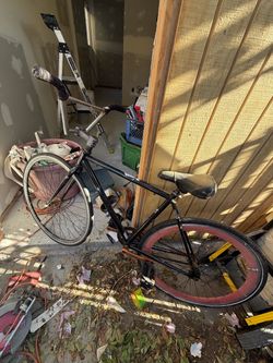 Fixie bicycle