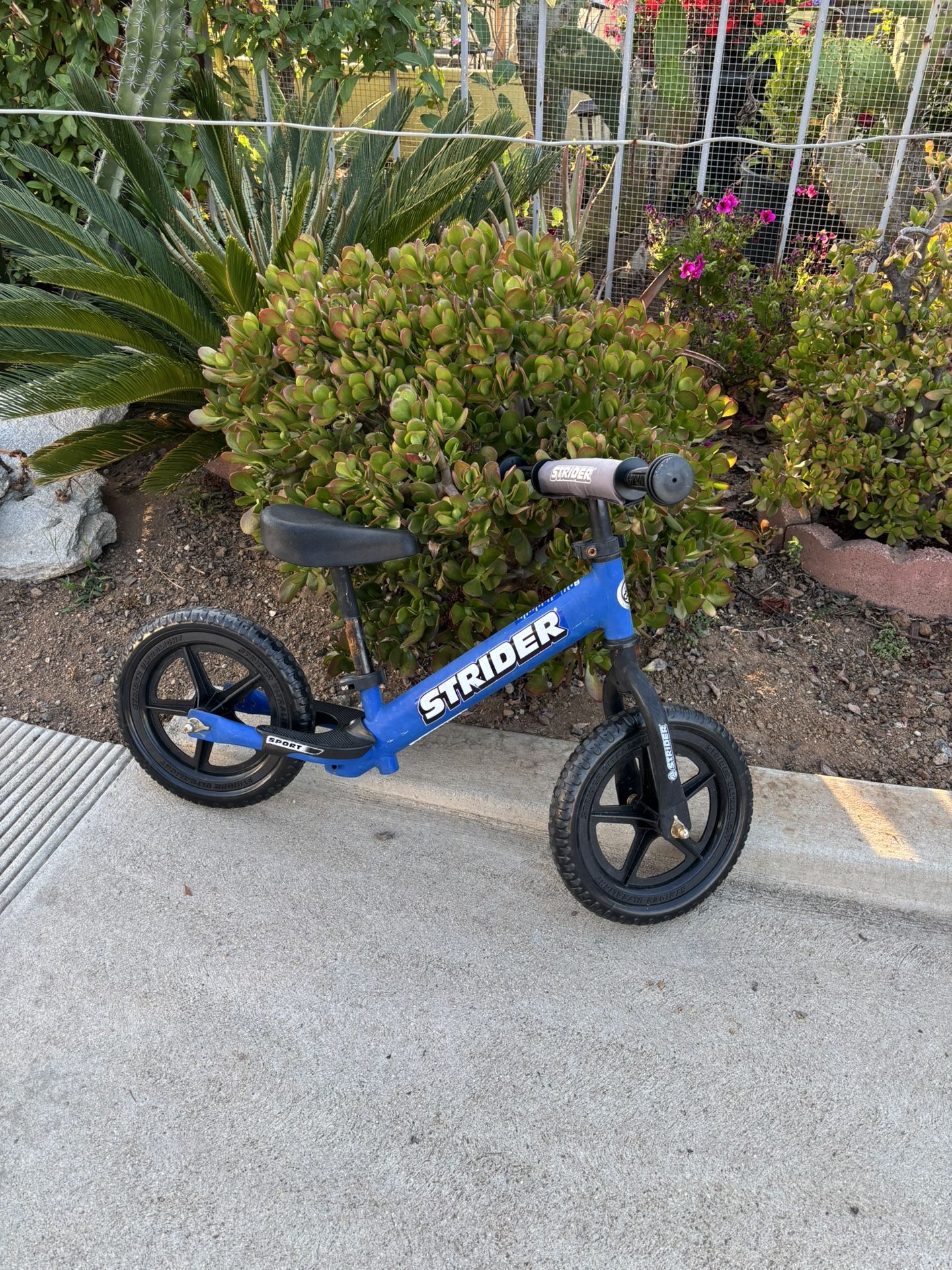 Kids Bikes