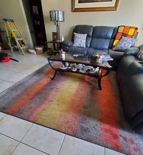 8' ×11' Decorative Area Rug . Very Nice.Gently Used.