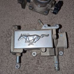 OEM throttle Body And Plenum from 02 Gt