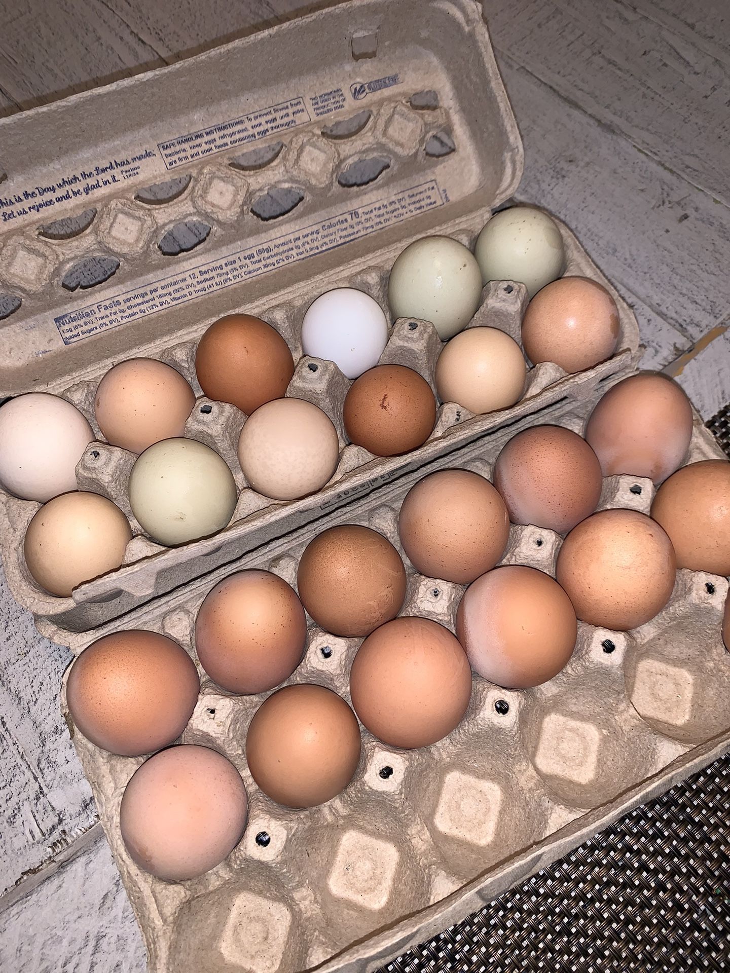 Fresh Farm Egg