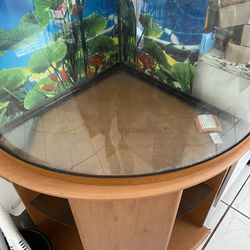39 Gallon Corner Aquarium With Stand