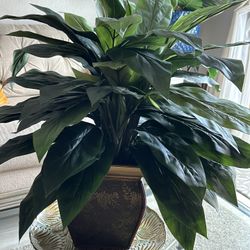 Peace Lily with Decorative Vase Silk Plant