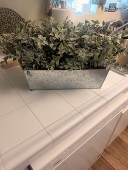Faith decor and artificial plants both in great condition!!