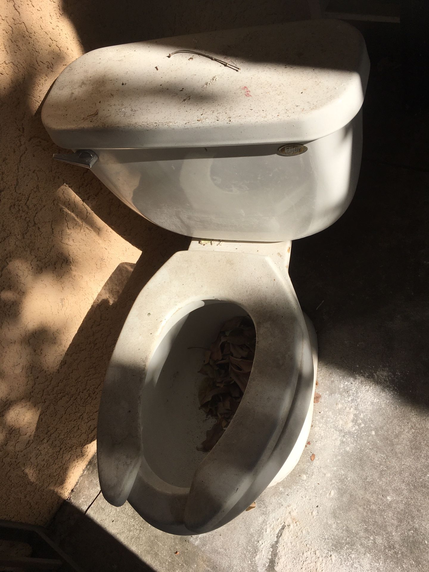 Free toilet