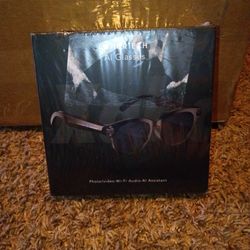 Ionorthtech Ai Glasses
