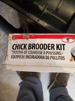 Wanna rise some chicks chick brooder kit $10