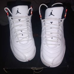 Jordan 12 Twist