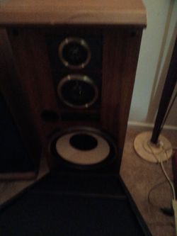 Fisher 15in house speakers
