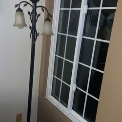 2 Stand Lights
