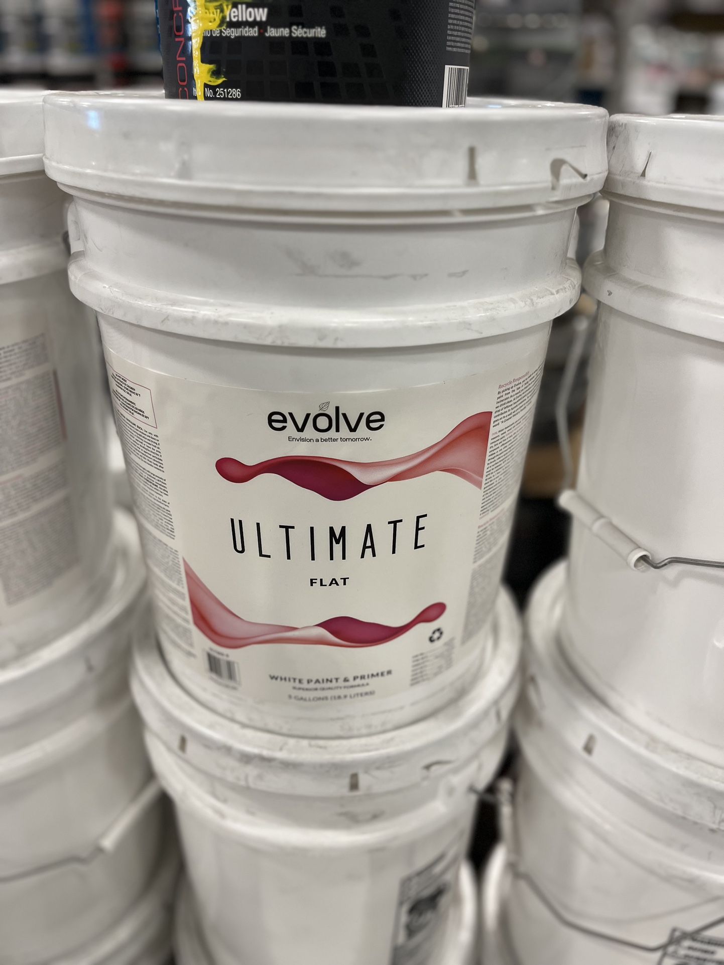 5 Gallon Flat White Paint Brand New U Need?